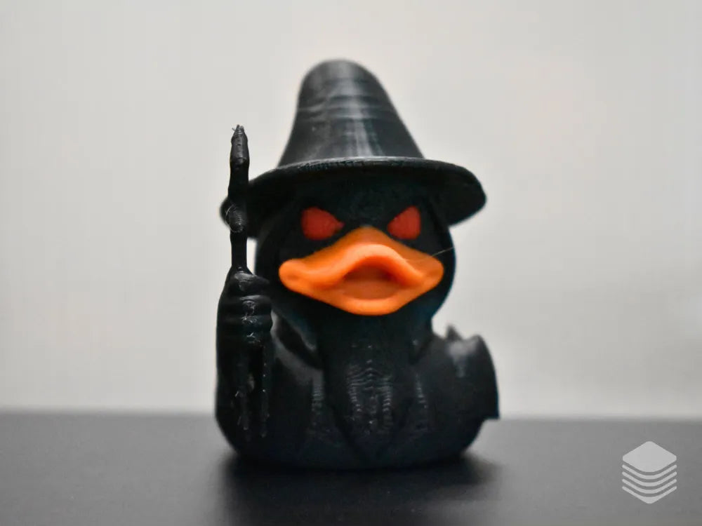 Wizard Duck