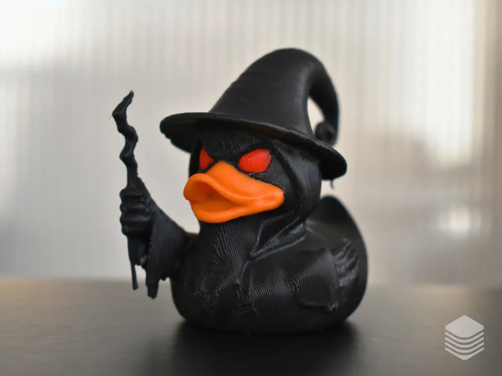 Wizard Duck